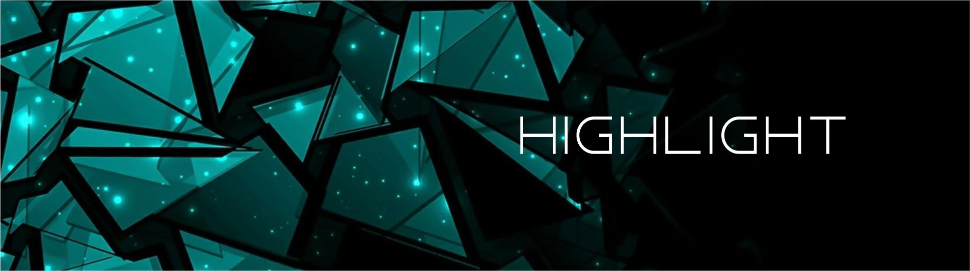 HIGHLIGHT